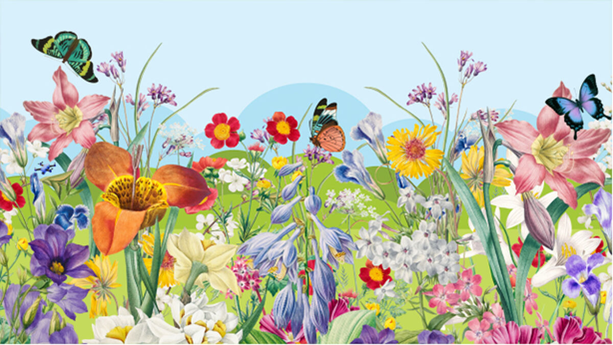Find It! Spring Edition image number 1
